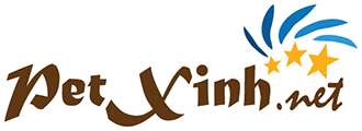 Khách hàng SEO website tại Clickweb