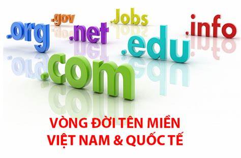 Vòng Đời Tên Miền .VN Từ A-Z: Quy Định Mới Nhất Và Cách Giữ Chỗ